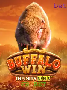 BuffaloWin: Uma Imersão no Mundo das Apostas com FB BET